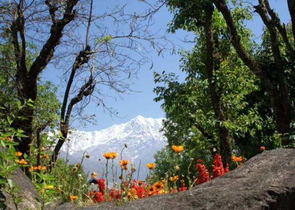 Mountain Villa Mcleodganj Dharamshala Esterno foto